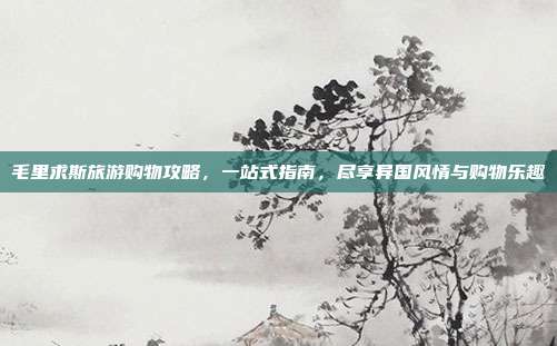 毛里求斯旅游购物攻略，一站式指南，尽享异国风情与购物乐趣