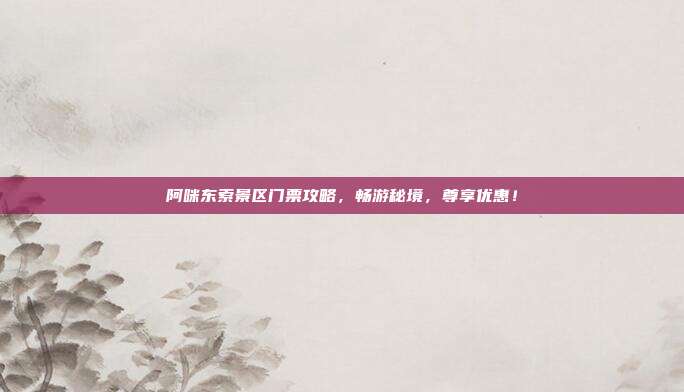 阿咪东索景区门票攻略，畅游秘境，尊享优惠！