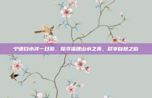 宁德白水洋一日游，探寻福建山水之美，尽享自然之韵