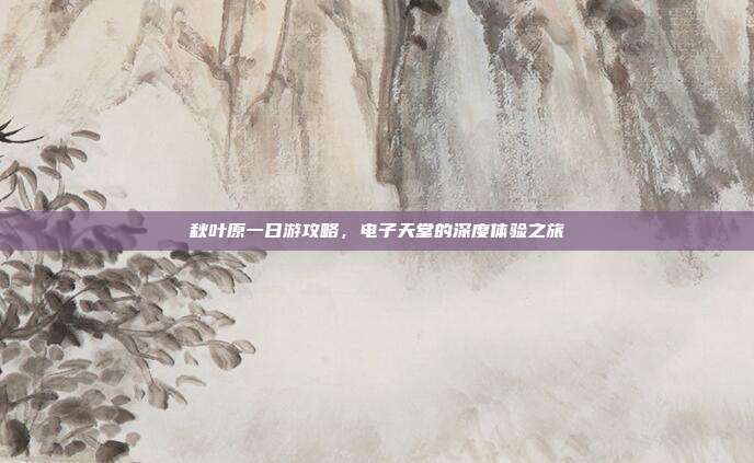 秋叶原一日游攻略，电子天堂的深度体验之旅