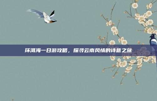 环洱海一日游攻略，探寻云南风情的诗意之旅