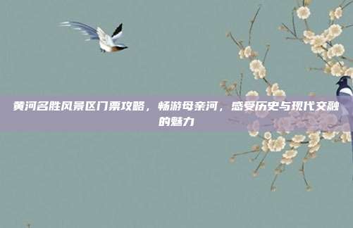 黄河名胜风景区门票攻略，畅游母亲河，感受历史与现代交融的魅力