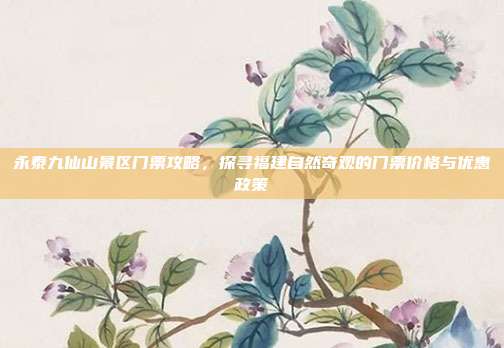 永泰九仙山景区门票攻略，探寻福建自然奇观的门票价格与优惠政策