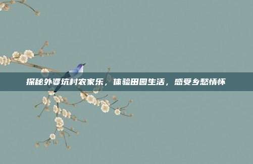 探秘外婆坑村农家乐，体验田园生活，感受乡愁情怀