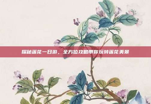 探秘莲花一日游，全方位攻略带你玩转莲花美景