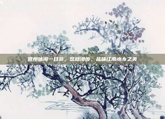 常州休闲一日游，悠然漫步，品味江南水乡之美