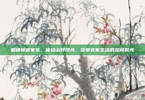 碧峰峡农家乐，体验山野风光，感受农家生活的悠闲时光