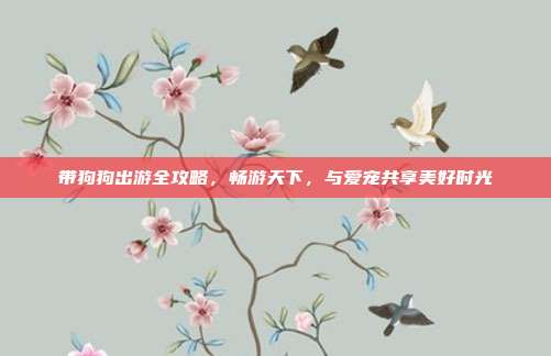 带狗狗出游全攻略，畅游天下，与爱宠共享美好时光