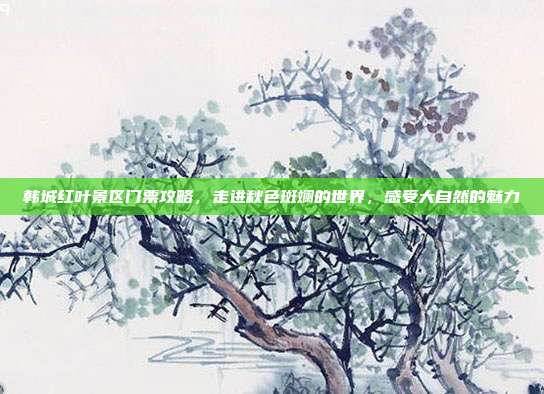 韩城红叶景区门票攻略，走进秋色斑斓的世界，感受大自然的魅力