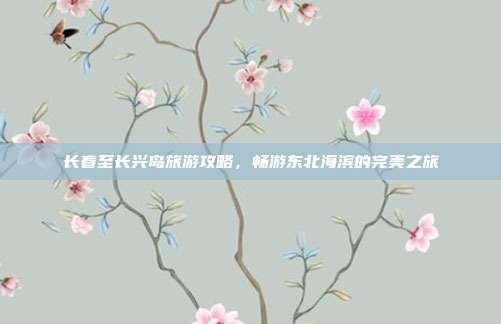 长春至长兴岛旅游攻略，畅游东北海滨的完美之旅