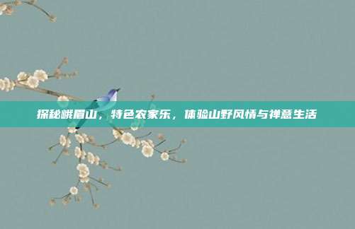 探秘峨眉山，特色农家乐，体验山野风情与禅意生活